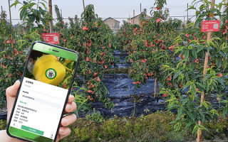 果圃科技 果圃科技发布友赏APP解决“草原”式需求