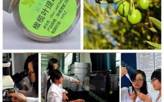 橄榄叶科技 决心转型，但让投资者承担更高风险！紫天科技“折价”7成向关联方定增